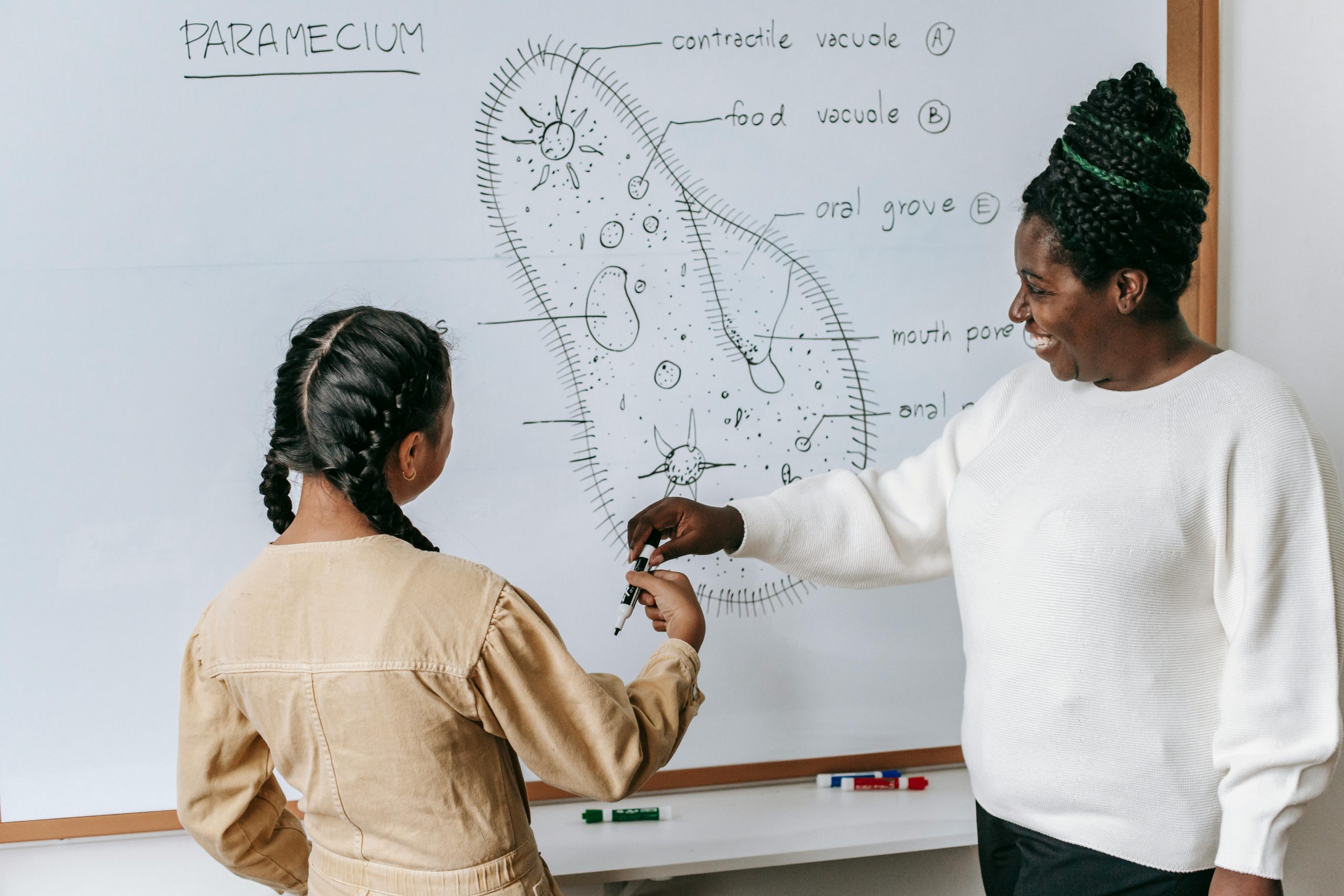 How Tutoring Helps Children Build Confidence